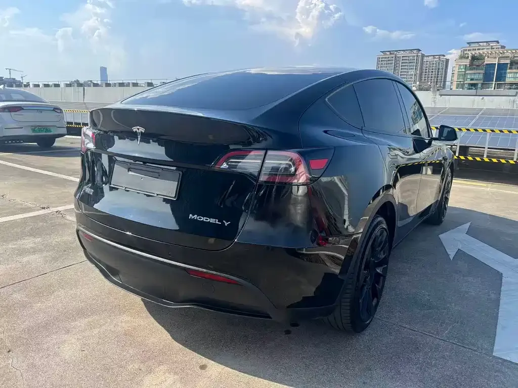 Tesla Model Y — фото 5