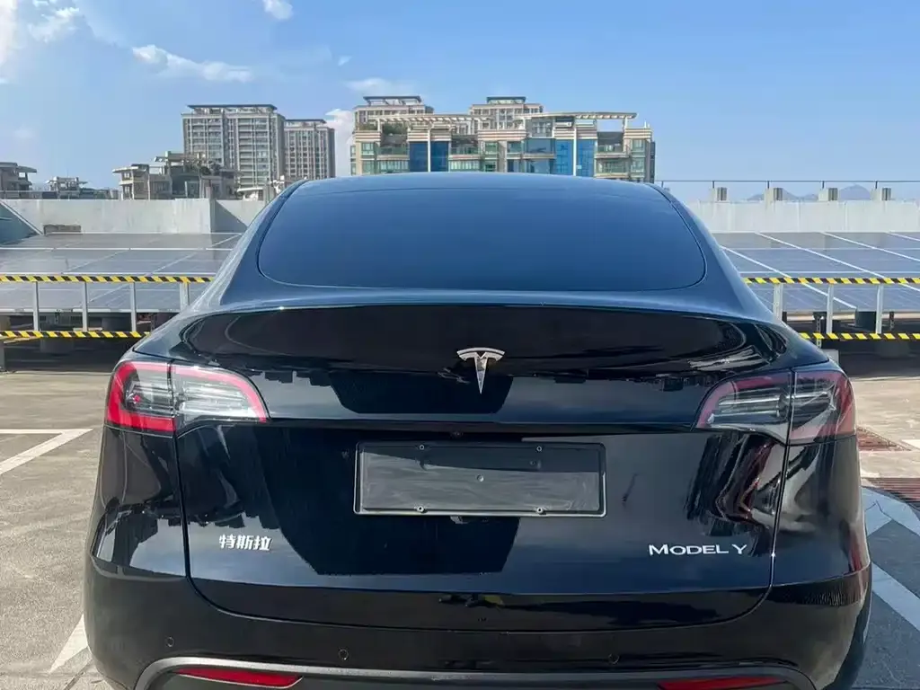 Tesla Model Y — фото 3