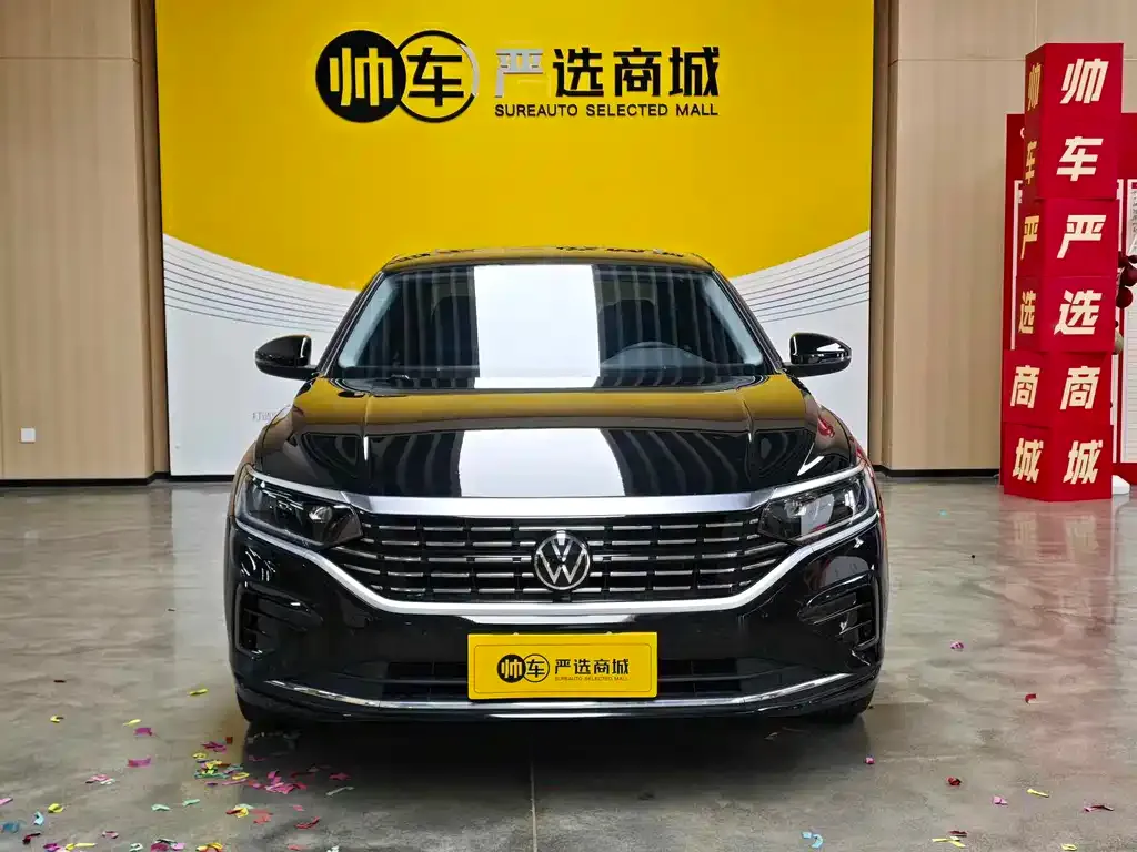 Volkswagen Passat — фото 8