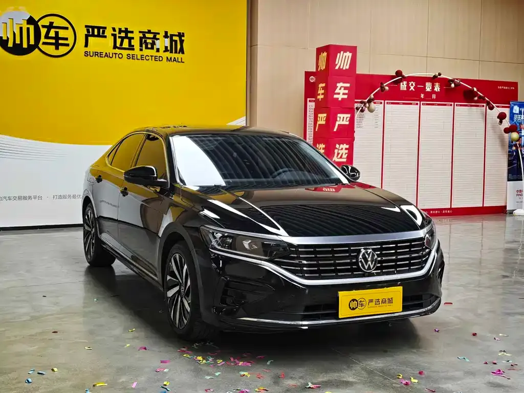 Volkswagen Passat — фото 2