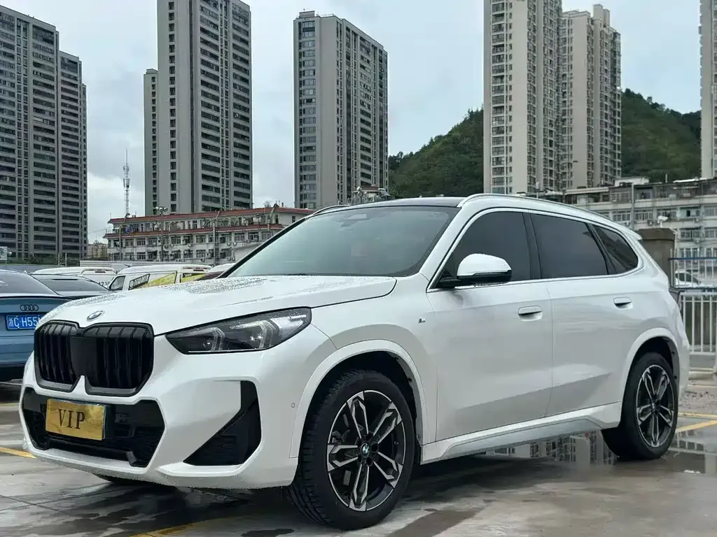 BMW X1 — фото 3