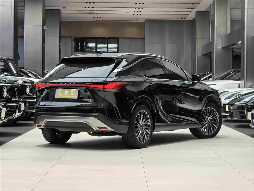 Lexus RX — фото 5