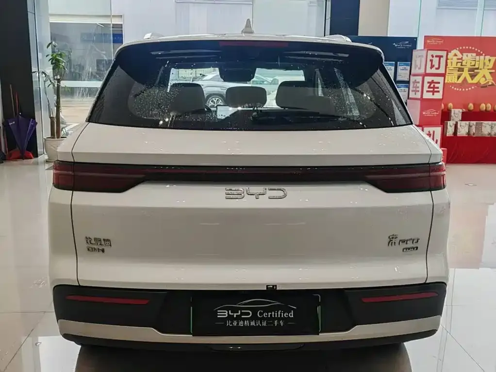 BYD Pro New Energy — фото 6