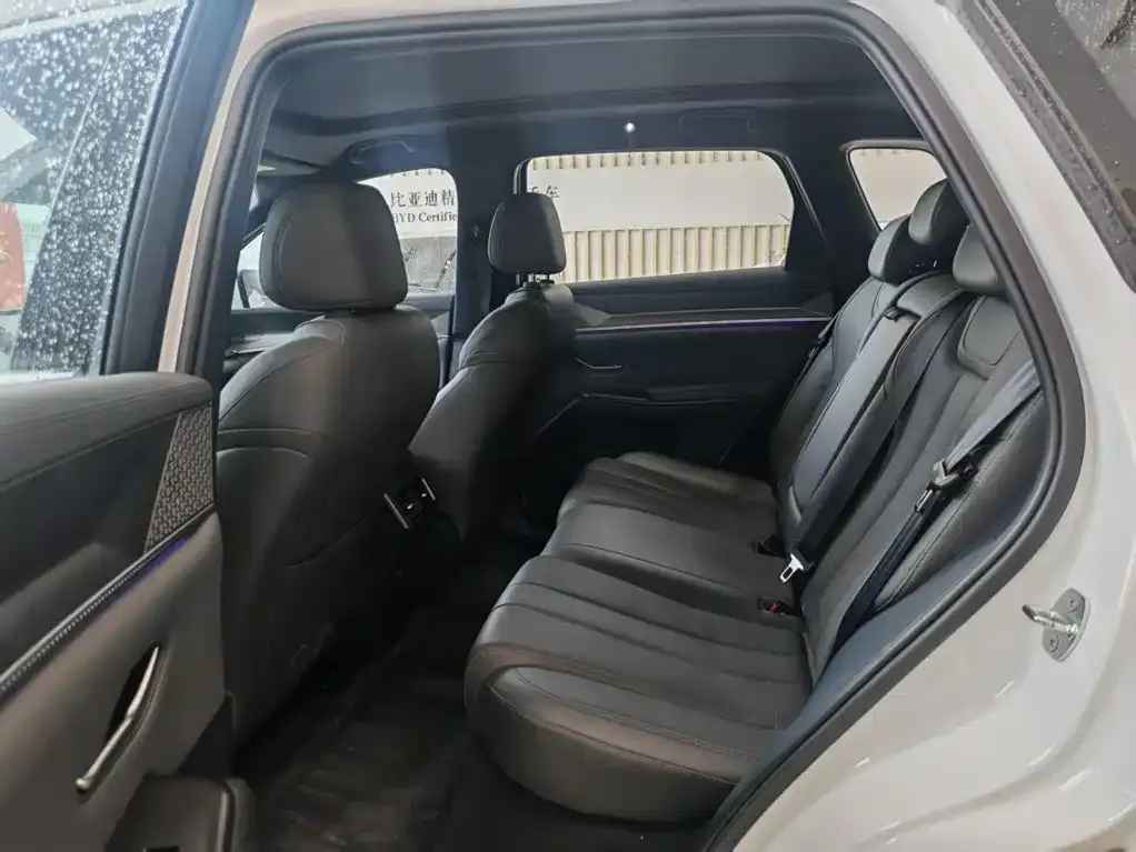 BYD Pro New Energy — фото 7