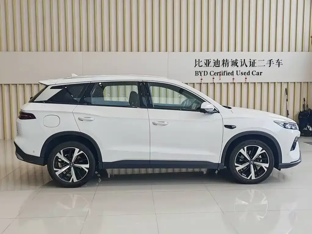 BYD Pro New Energy — фото 10