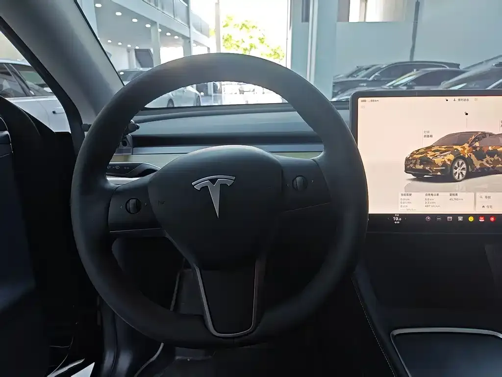 Tesla Model Y — фото 2