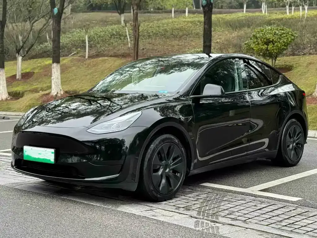 Tesla Model Y — фото 1