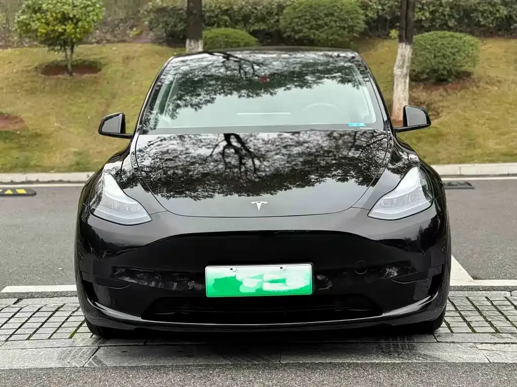 Tesla Model Y — фото 3