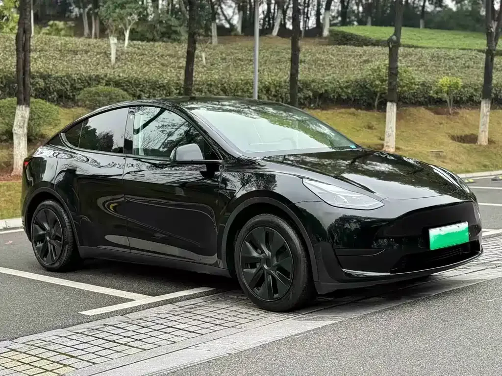 Tesla Model Y — фото 9
