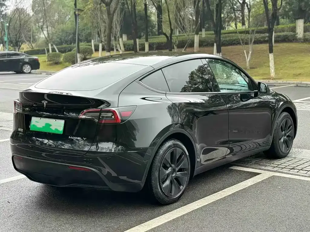 Tesla Model Y — фото 5