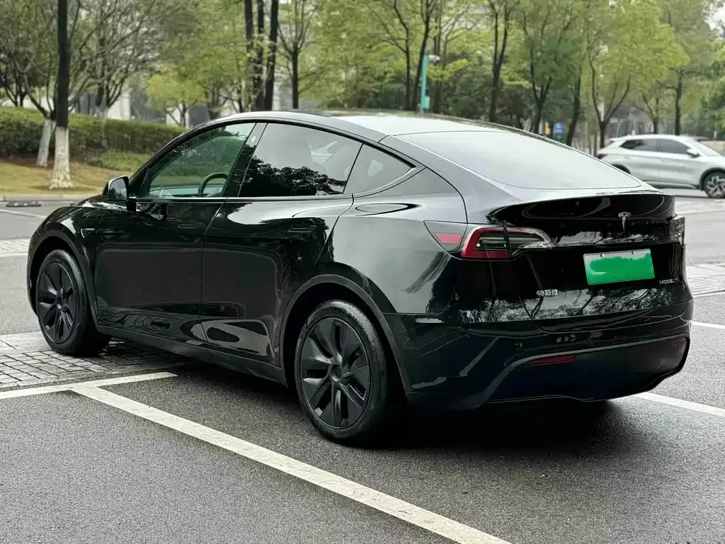 Tesla Model Y — фото 8