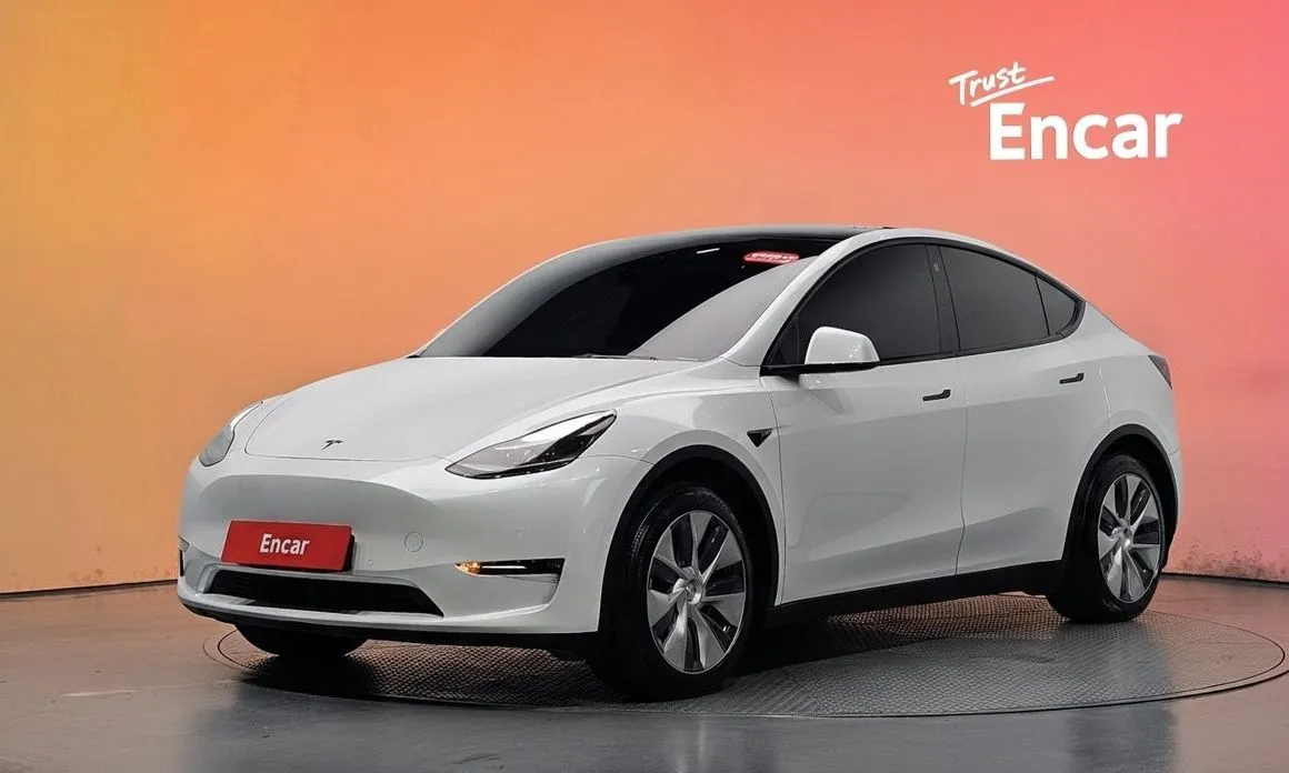 Tesla Model Y — фото 1