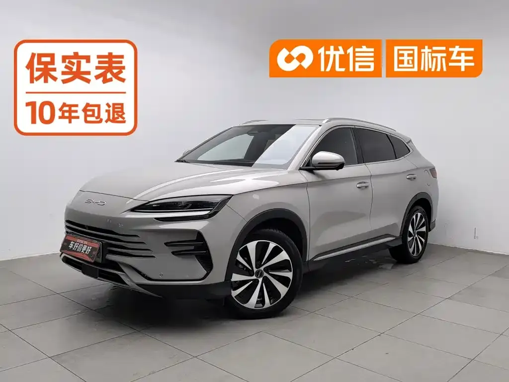 BYD PLUS New Energy — фото 1