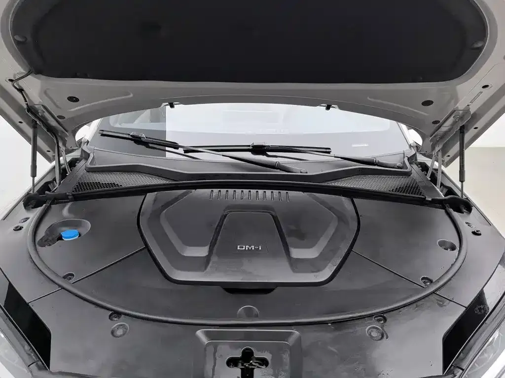 BYD PLUS New Energy — фото 6