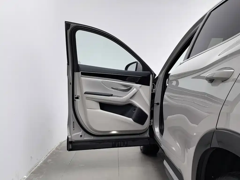 BYD PLUS New Energy — фото 2