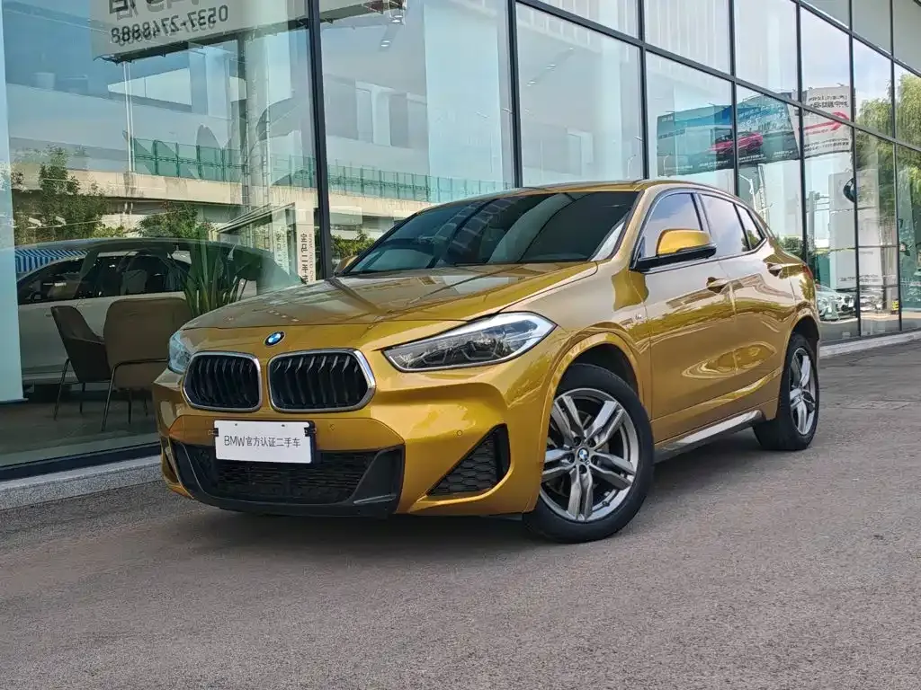 BMW X2 — фото 1
