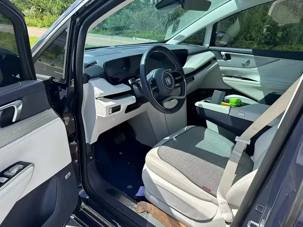 Buick GL8 Hybrid — фото 8