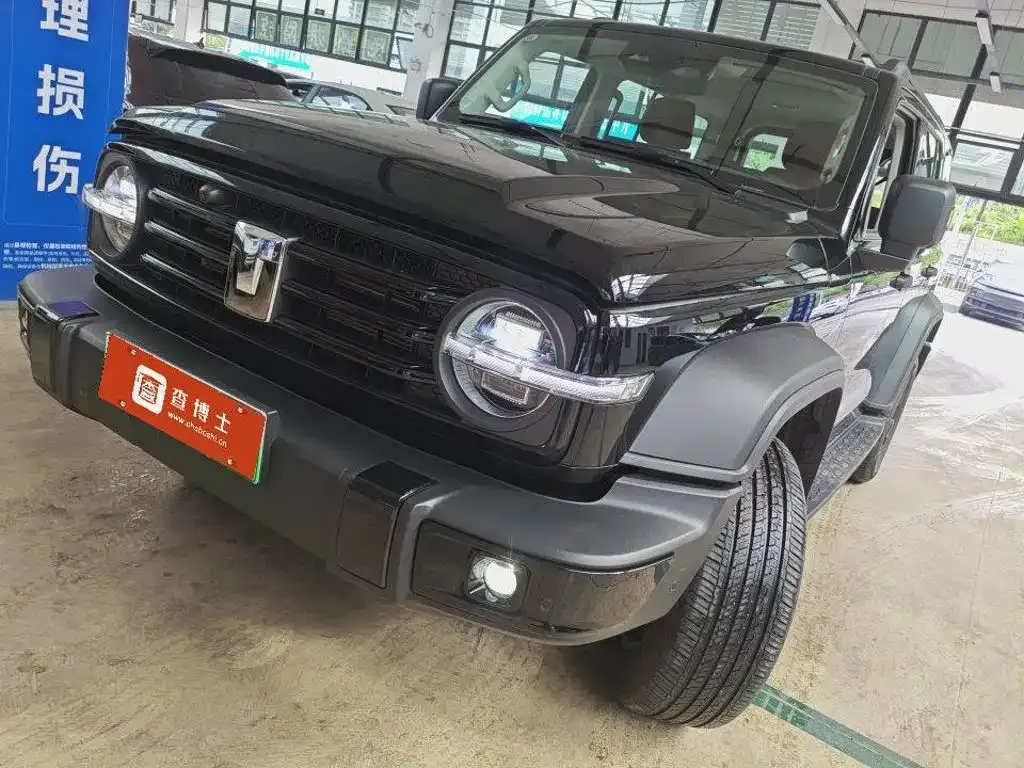 Tank 300 New Energy — фото 3
