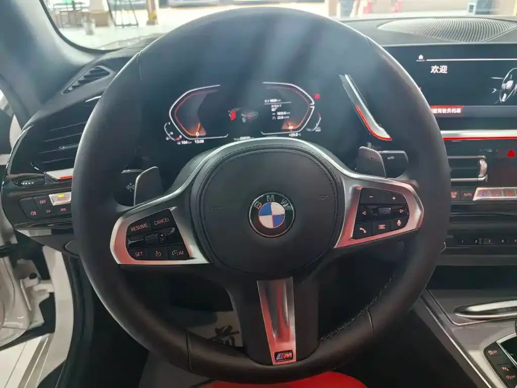 BMW Z4 — фото 10