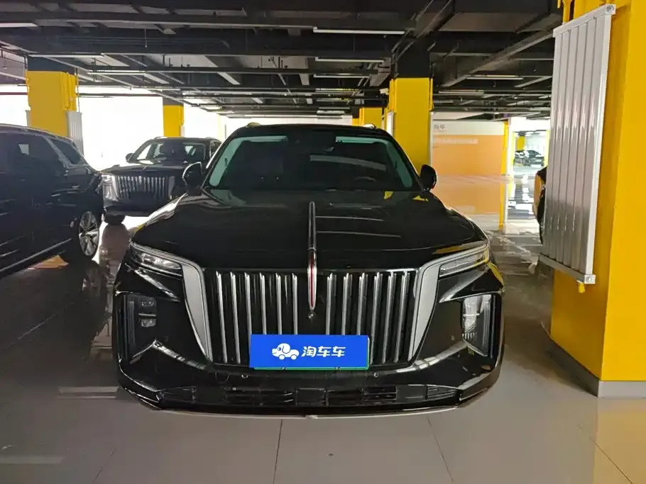 Hongqi E-HS9 — фото 10