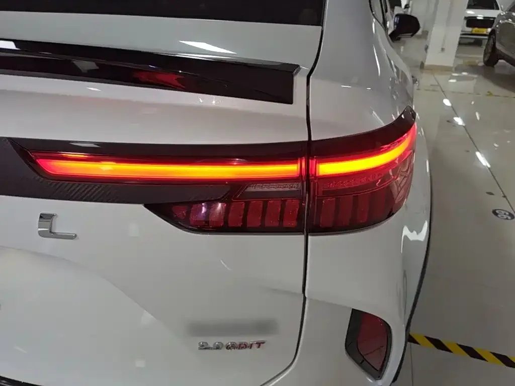 Haval H6S — фото 4