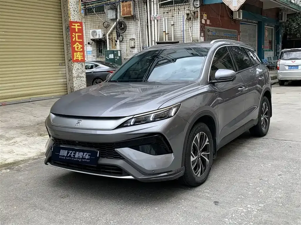 BYD Pro New Energy — фото 1