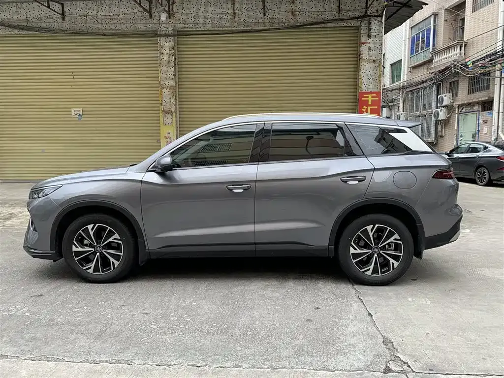 BYD Pro New Energy — фото 6