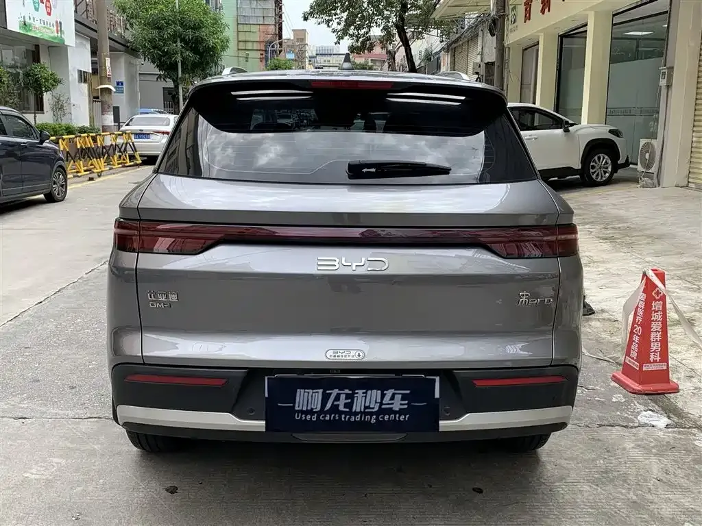 BYD Pro New Energy — фото 3