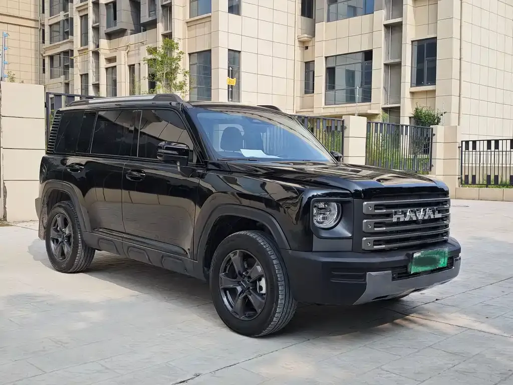 Haval Menglong New Energy — фото 9