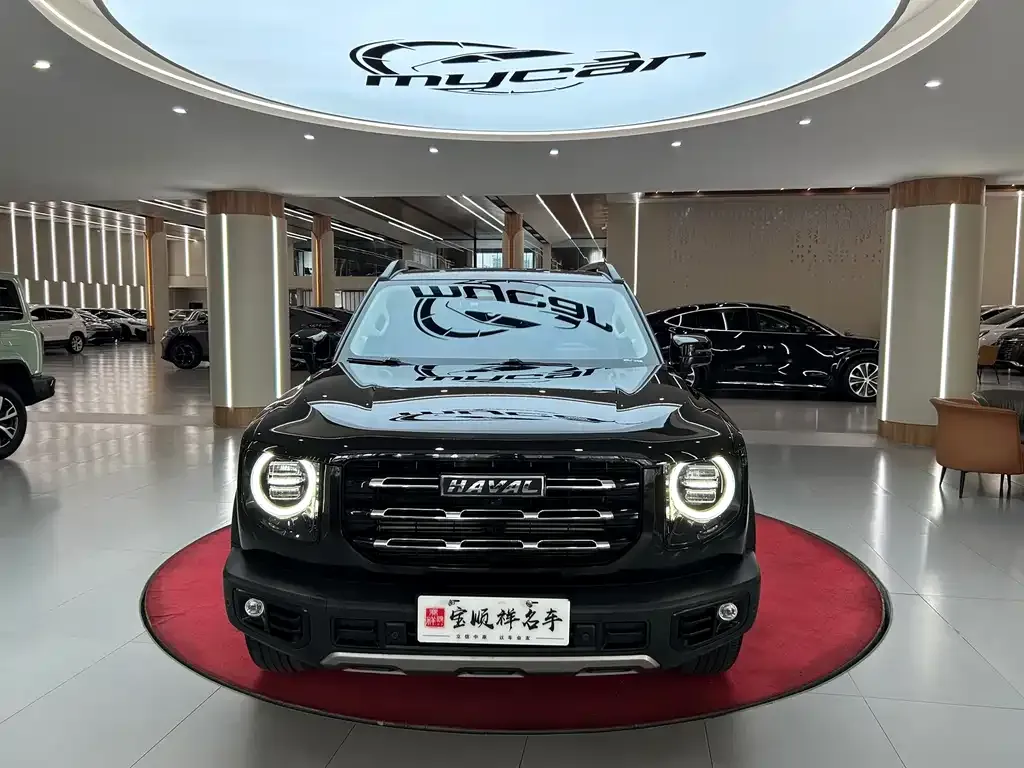 Haval Big Dog — фото 8
