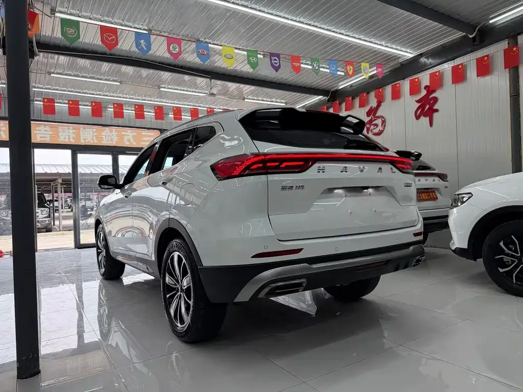 Haval H6 — фото 10