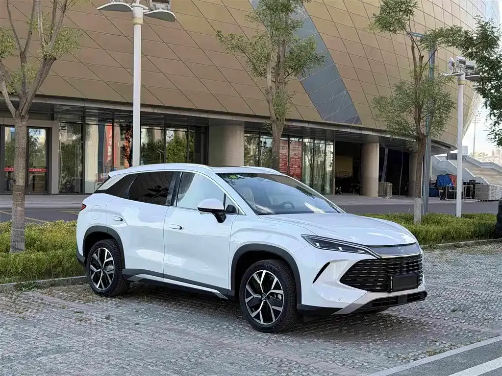 BYD L DM-i — фото 10