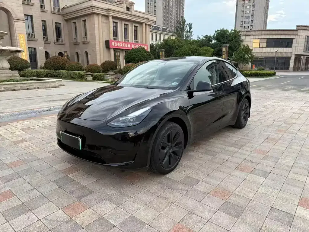 Tesla Model Y — фото 1