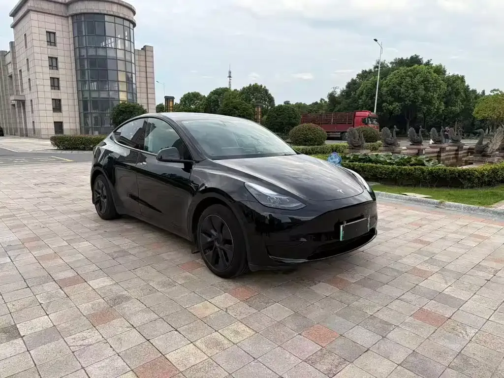 Tesla Model Y — фото 7