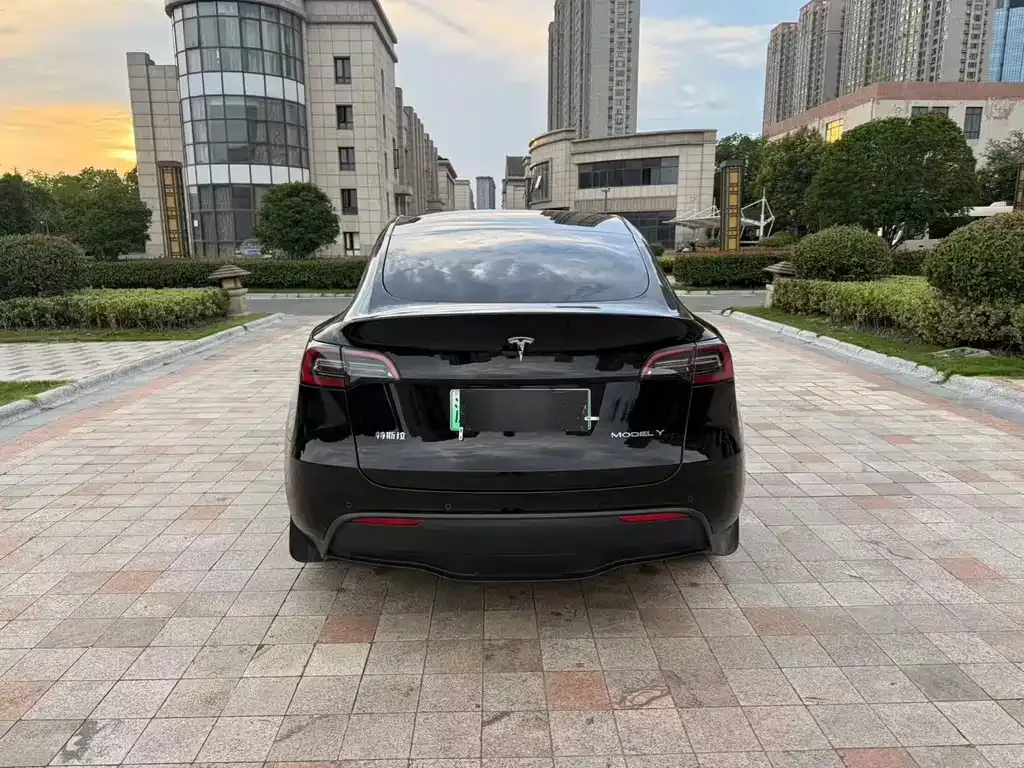 Tesla Model Y — фото 9