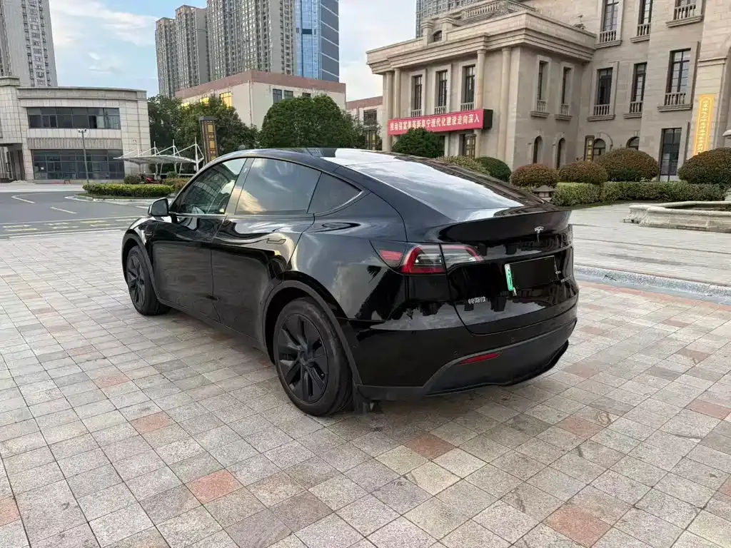 Tesla Model Y — фото 6