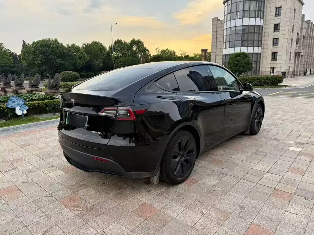 Tesla Model Y — фото 5
