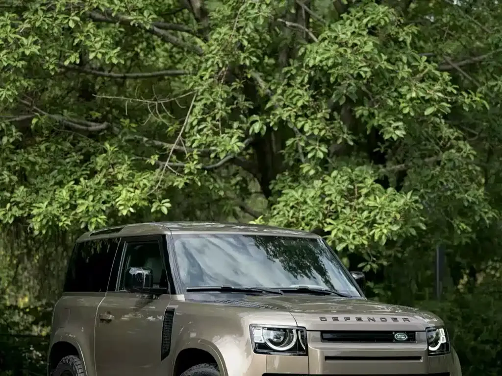 Land Rover Defender — фото 7