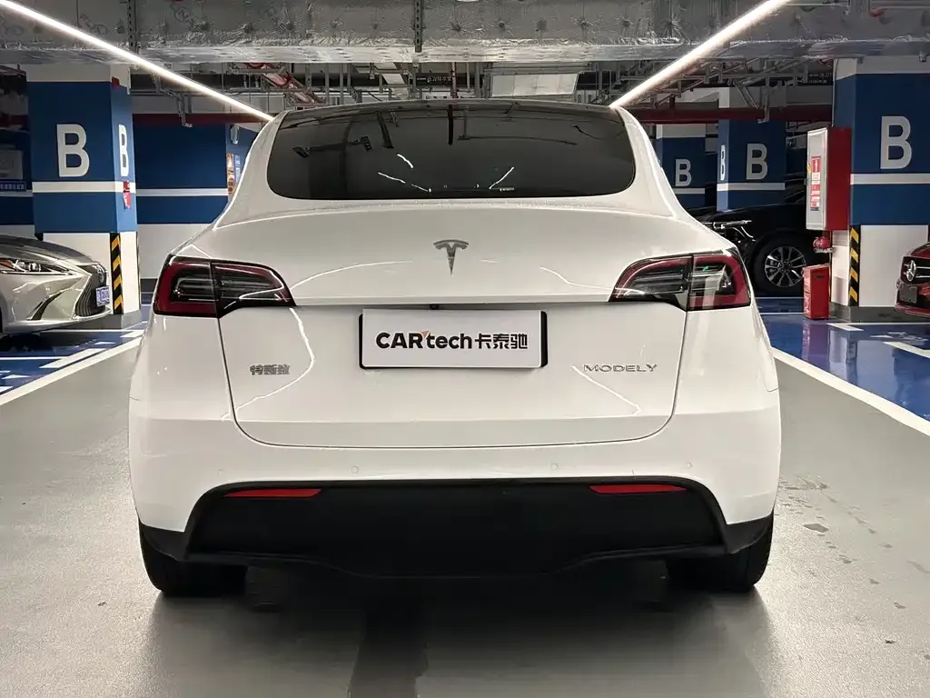 Tesla Model Y — фото 10