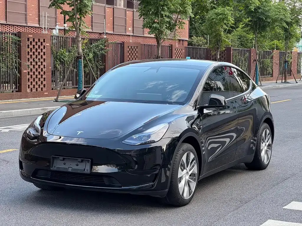 Tesla Model Y — фото 1