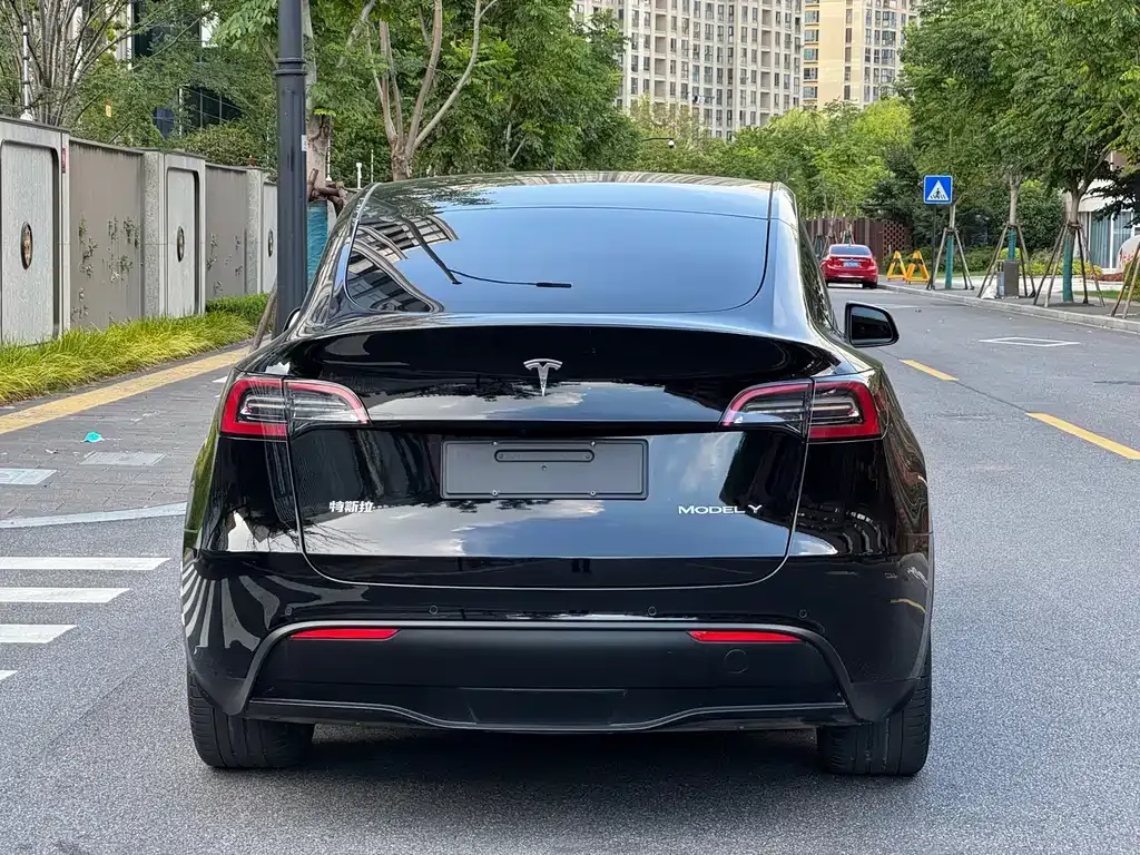 Tesla Model Y — фото 10