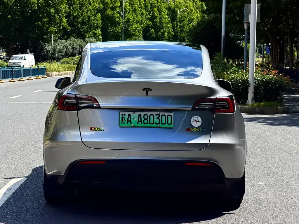 Tesla Model Y — фото 10