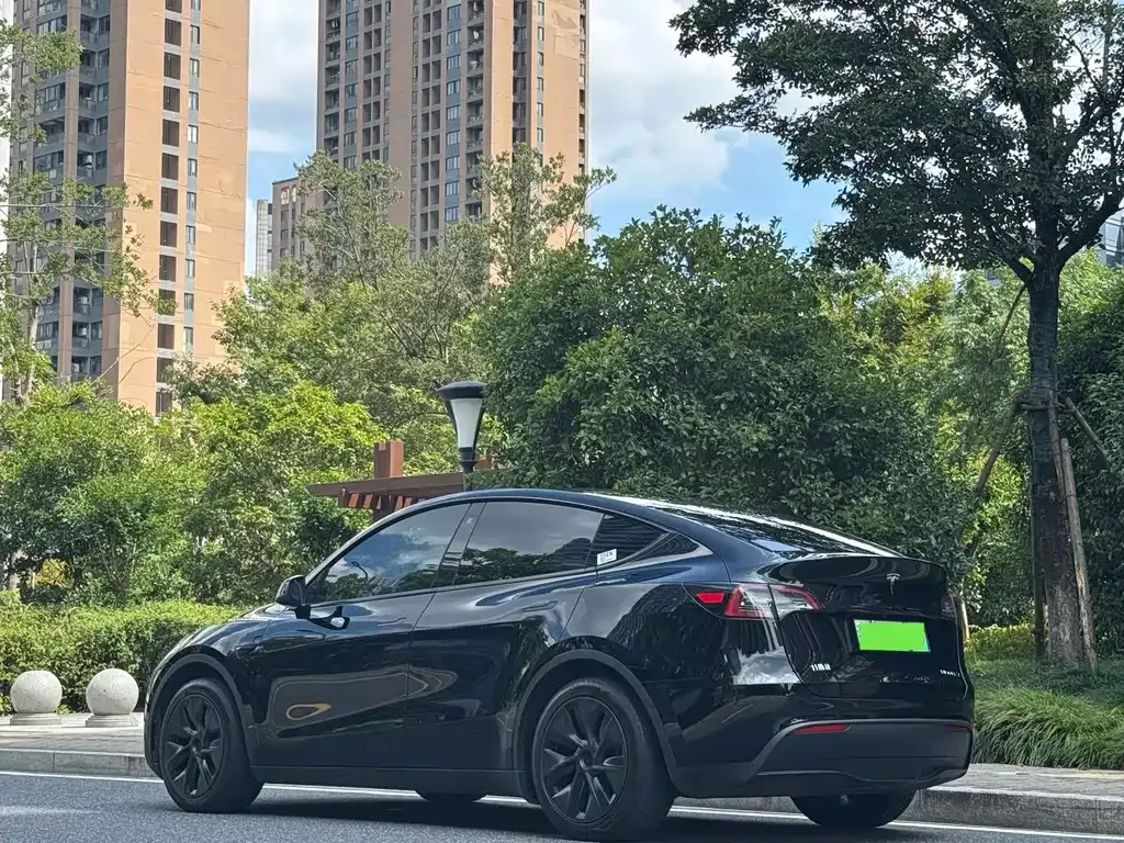 Tesla Model Y — фото 8