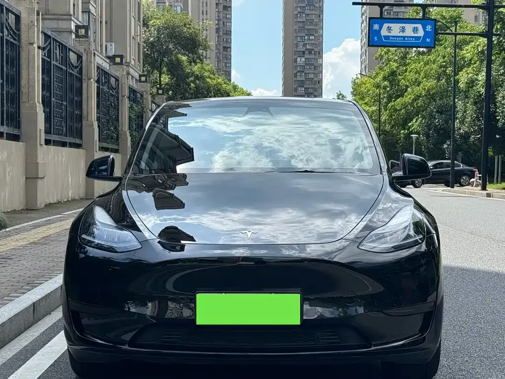Tesla Model Y — фото 10