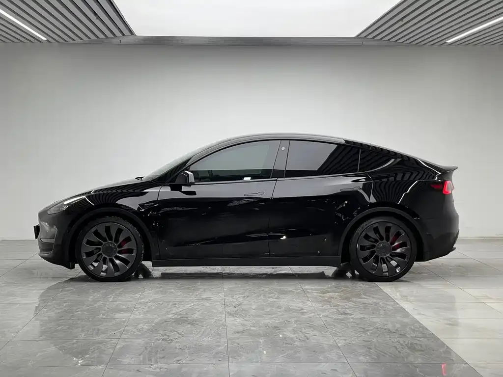 Tesla Model Y — фото 10