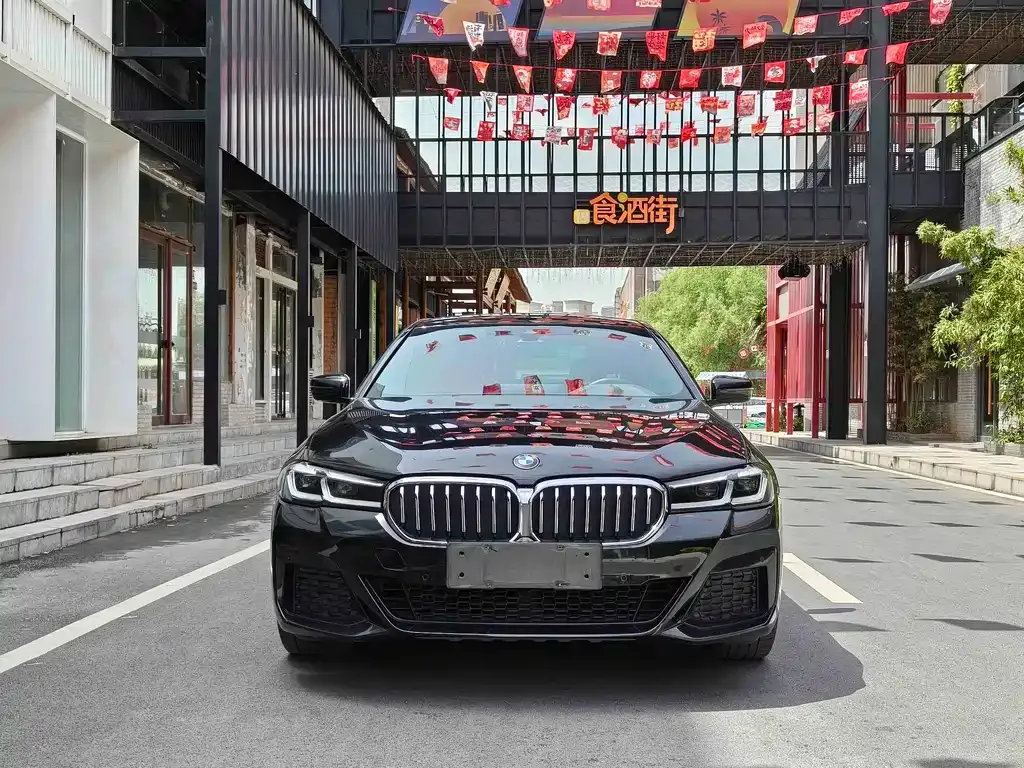 BMW 5 Series New Energy — фото 8