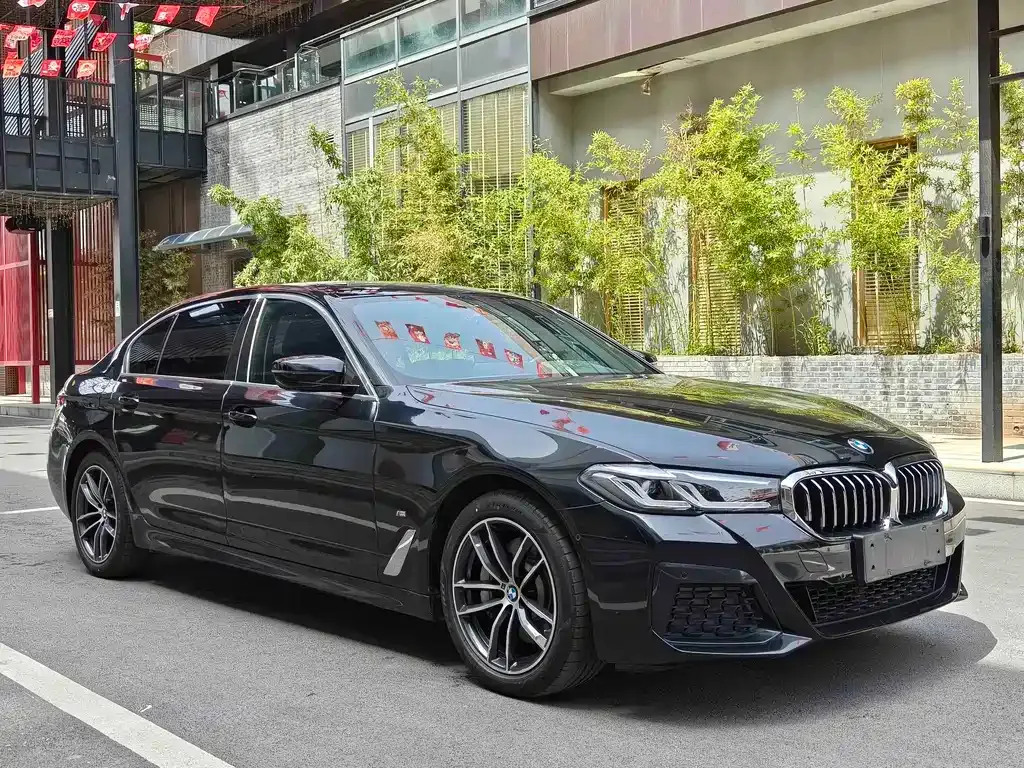 BMW 5 Series New Energy — фото 9