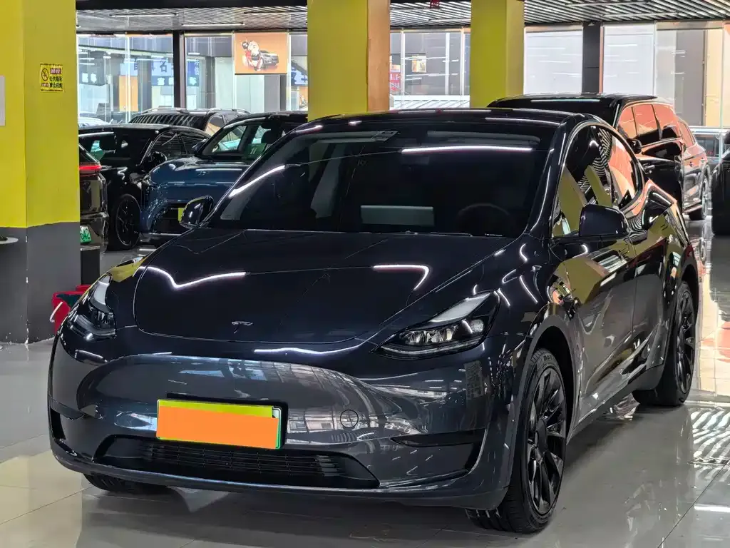 Tesla Model Y — фото 1