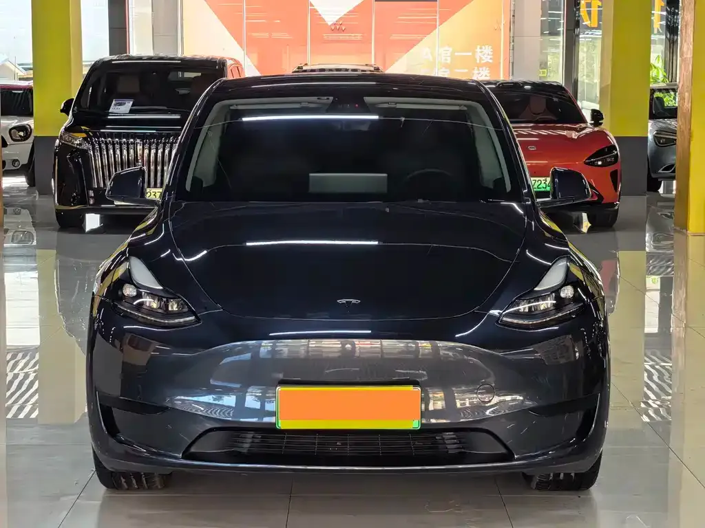 Tesla Model Y — фото 10