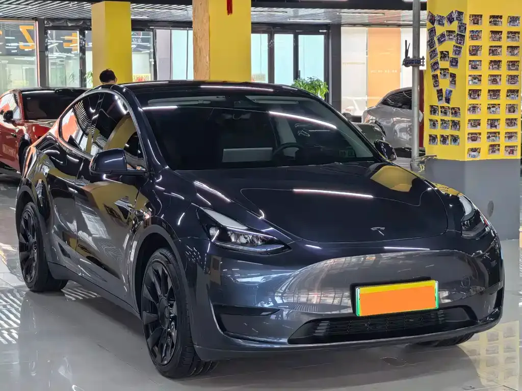 Tesla Model Y — фото 9